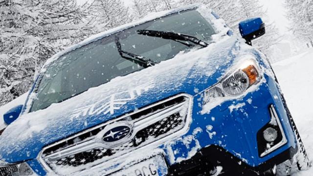 Subaru Winter Check