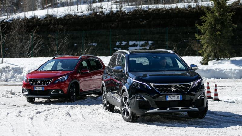 Peugeot e l'Advanced Grip Control