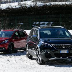 Peugeot e l'Advanced Grip Control