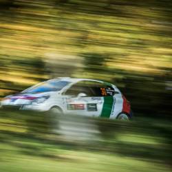 11° Titolo per Paolo Andreucci nell'Italiano Rally
