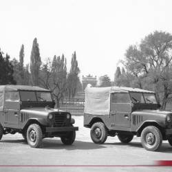 Le Alfa Romeo della Polizia e dei Carabinieri